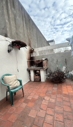PH con terraza propia — foto 5
